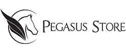Pegasus Oyuncak